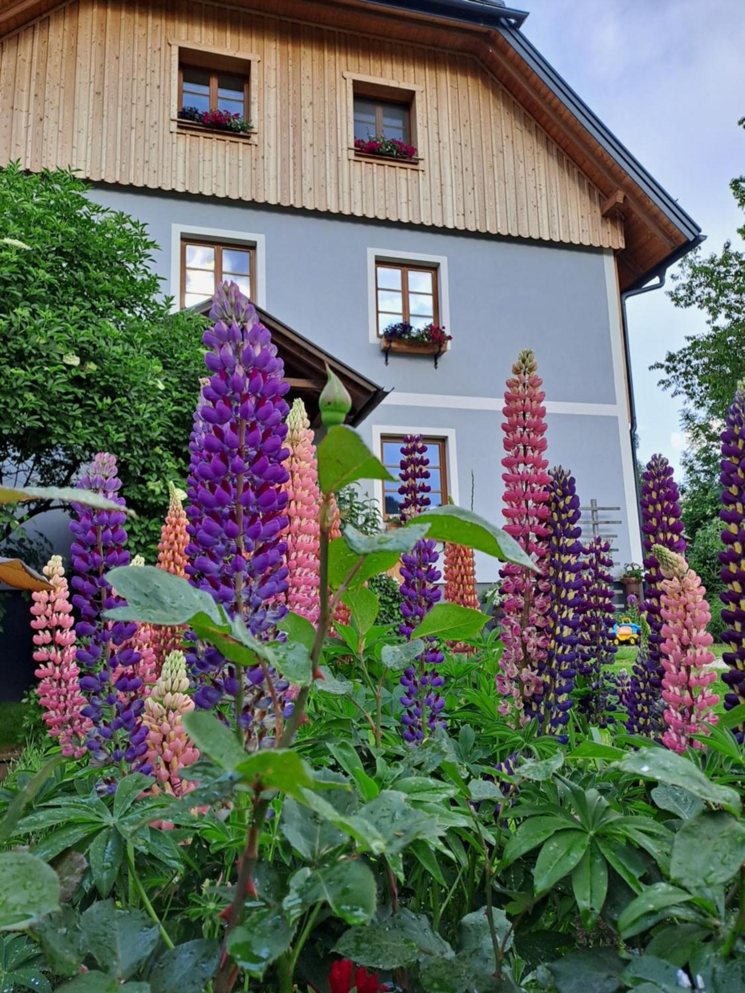 Urlaub Im Stall Irdning Kültér fotó